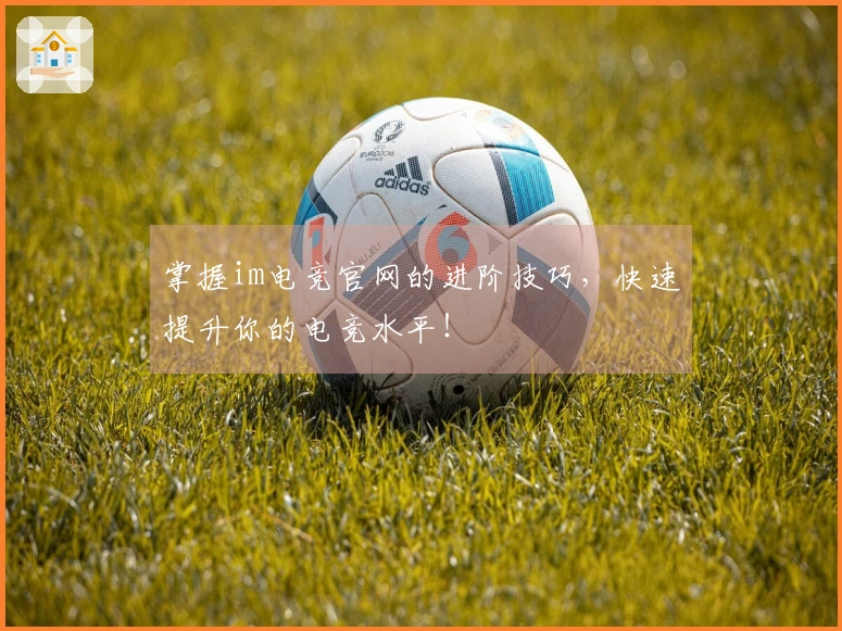 掌握im电竞官网的进阶技巧，快速提升你的电竞水平！