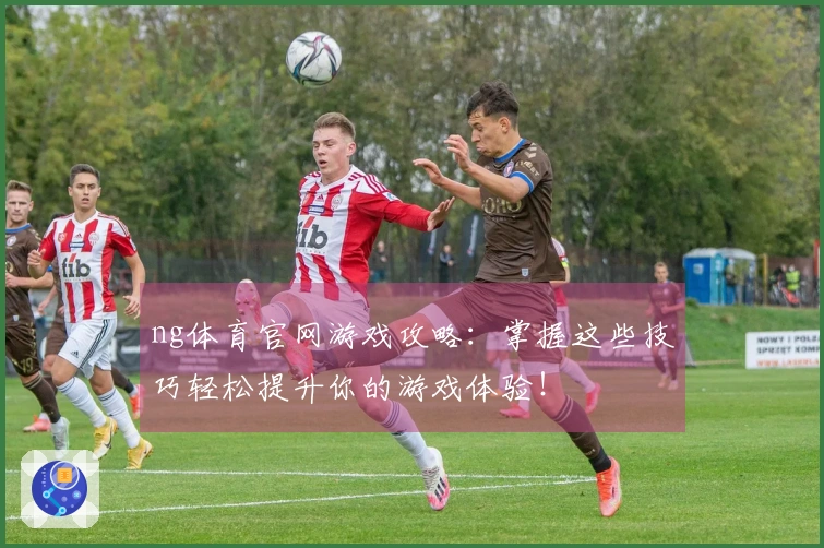 ng体育官网游戏攻略：掌握这些技巧轻松提升你的游戏体验！